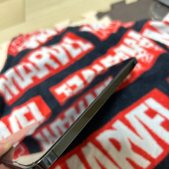 iPhone12 Pro Max256gb iPad Pro11インチ128gb