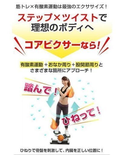 【引取り限定】動作確認済み！エアロライフ コアビクサー｜自宅で簡単有酸素運動 踏込み＆ツイストの進化型ステッパー｜ダイエット｜健康器具｜