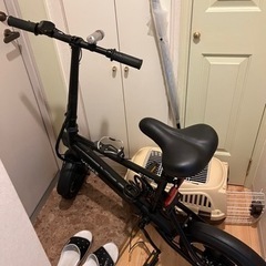 モペット型電動アシスト自転車　免許不要公道走行可能