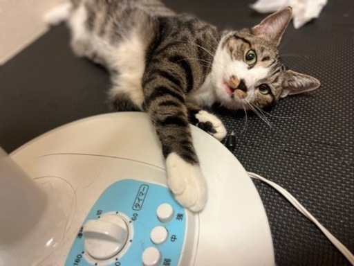 至急！】全て引き取ってくれる方！