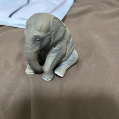 ゾウ🐘ガチャ