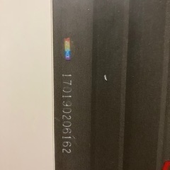 アルペンスノーボード　theC