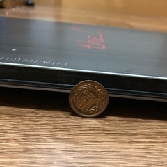 アルペンスノーボード　theC