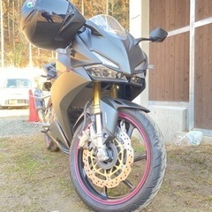 CBR250rr