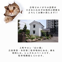 NOA鹿児島保護猫譲渡会 - その他