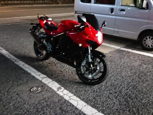 ﾋｮｰｽﾝ gt 250r