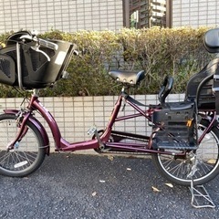 ふらっか〜ずシュシュ　非電動自転車　前後子供乗せシート付き