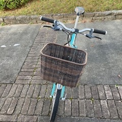 ルイガノ mv1 サイズ410 ブルー