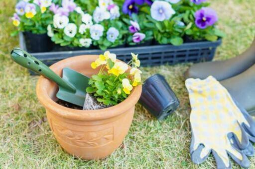 お庭や外回りのお手入れを手伝います 草取り ガーデニング 家庭菜園も きこりん 練馬の手伝いたい 助けたいの助け合い ジモティー