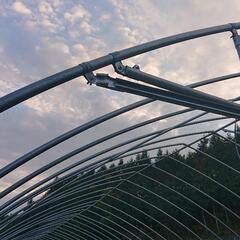 ビニールハウス サビ無し 4年使用 奥行き20m 間口5.9m 高さ3m