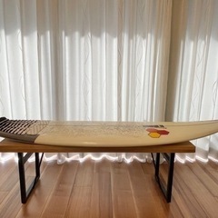 お得セット‼️5\'10アルメリックDFR   トリップケース付き