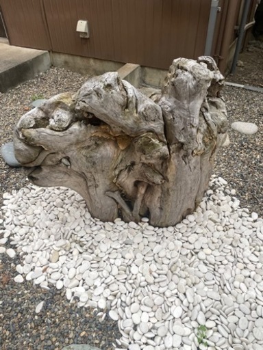 流木 オブジェ アート 和庭園 造園 | imperiomassagem.com.br