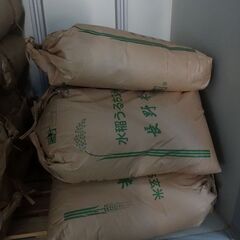 令和4年産コシヒカリ(安曇野米）玄米30kg