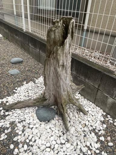 流木　オブジェ　アート　造園　和庭園
