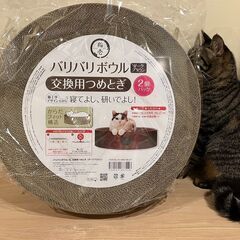 【初売りセール】猫爪とぎ 未使用 猫壱バリバリボールXL 2個セ...