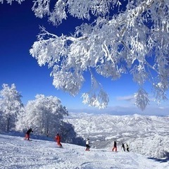 今シーズンもスノボ/スキー出来るか方募集中 - 熊谷市