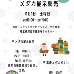 12月3日　メダカ展示販売　今年ラスト