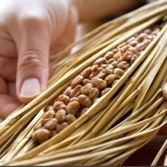 FARMY収穫祭！納豆づくり体験＆新米試食