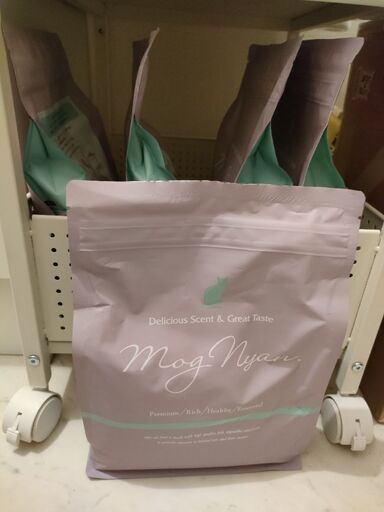 F231 虫明焼 宝瓶 岡本英山 急須 煎茶道具 茶道具