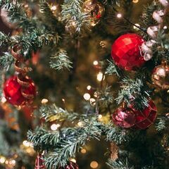 大人のクリスマス会しませんか？12月25日（日）常盤台！（イタリアンを楽しむ会） - 板橋区