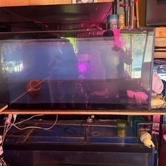 残り2つになりました。オーダー 水槽 新品価格 30万〜100万