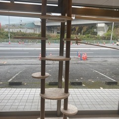 年内で終了　キャットタワー３つ（バラ売り可）
