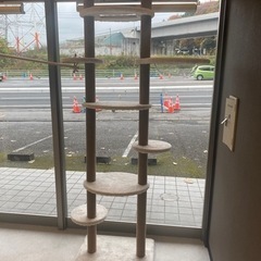 年内で終了　キャットタワー３つ（バラ売り可）