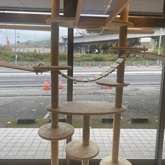 年内で終了　キャットタワー３つ（バラ売り可）