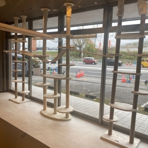 年内で終了 キャットタワー3つ（バラ売り可）