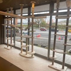 年内で終了　キャットタワー３つ（バラ売り可）