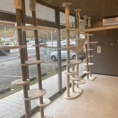 年内で終了　キャットタワー３つ（バラ売り可）