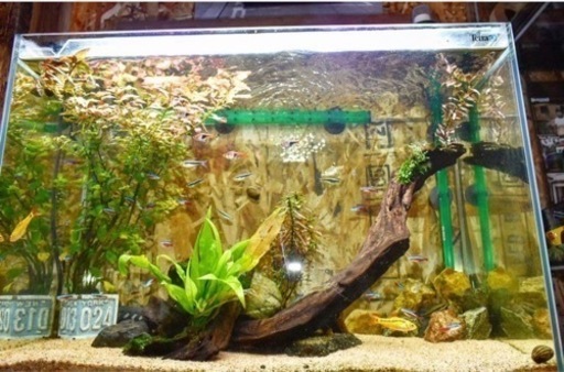 60cm水槽セット