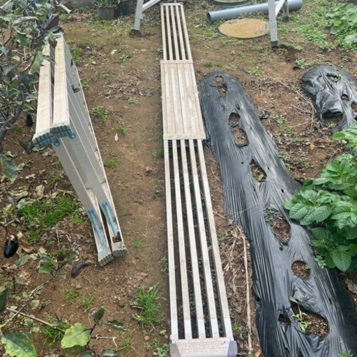 ASAHI ミニベロ オリーブ 【トレファク上福岡】