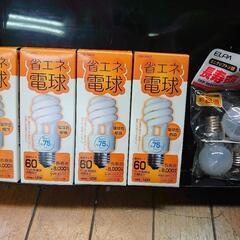 電球各種セット