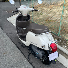 ホンダ　ジョルノAF70 原付50cc 自賠責あり