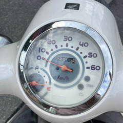 ホンダ　ジョルノAF70 原付50cc 自賠責あり