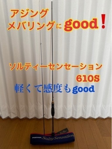 美品　名竿　ソルティーセンセーション　610S  エバーグリーン  610 リンバーティップ　アジング　ロッド　メバリング　ソルセン　釣竿　竿　2ピース　ソリッドティップ　アジングロッド
