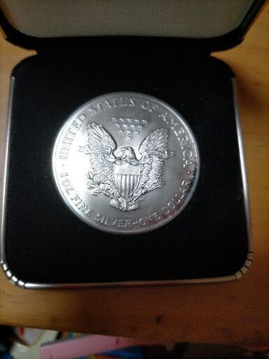 AMERICAN EAGLEリバティ硬貨 【公式通販】
