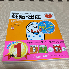 【ネット決済】はじめてのママ&パパ　妊娠・出産　値下げ500円→...