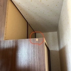 鏡ばりの後付け収納クローゼット⭐︎ディノス（茶色）