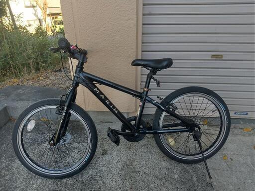 MARIN DONKY JR 20インチ マリン ドンキ キッズバイク かっこいい BMX 