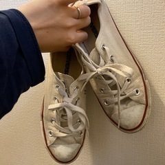 コンバース靴レディース‼️