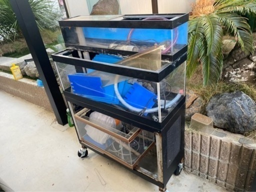 2段活魚水槽　アクリル水槽