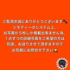 民法条文解説西口先生による条文の手引きシリーズ民法西口竜司辰巳