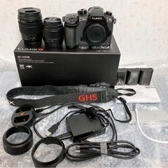 LUMIX GH5ミラーレス一眼カメラ 標準ズームレンズ