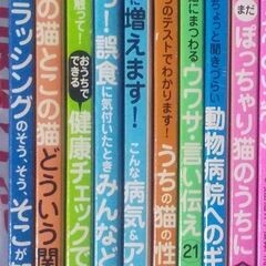 ねこのきもち バックナンバー 20冊💝猫保護活動に寄付💝