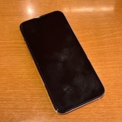 iPhone 13 Pro Max  本体