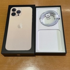 iPhone 13 Pro Max  本体