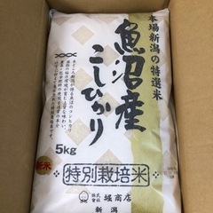 【新米】魚沼産コシヒカリ 5kg