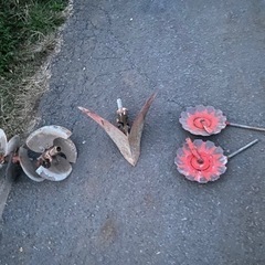 管理機(値下げ) ラストチャンス